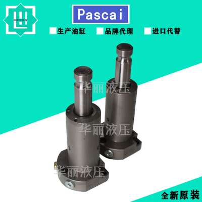 PASCAL 帕斯卡液压缸 CTV10B-R支撑缸 油缸CSY03-L CSU CST CSS12
