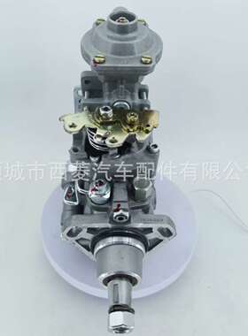 燃油泵504251949 0460424424和0460424496 504385873和0460424223