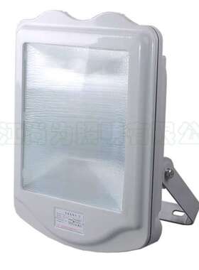 SW7201 强光泛光工作灯 尚为SW7201 大功率投光灯 250W400W