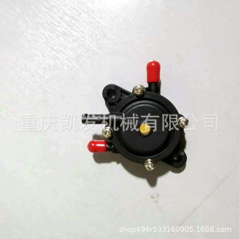 厂家供应开普配件IG770燃油真空泵部件,电子元器件市场,其它元器件,淘宝优惠券,粉丝福利购,淘宝优惠卷