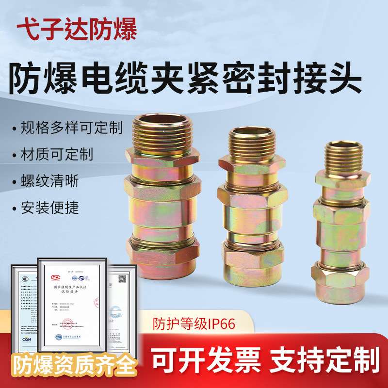 防水防爆304不锈钢挠性电缆夹密封接头DQM-VIII防腐连接管活接头