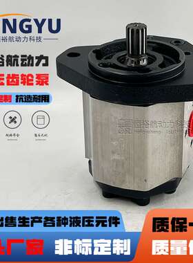 恒裕航齿轮泵布赫BUCHER液压泵AP300 AP100 AP200泵AP212油泵高压