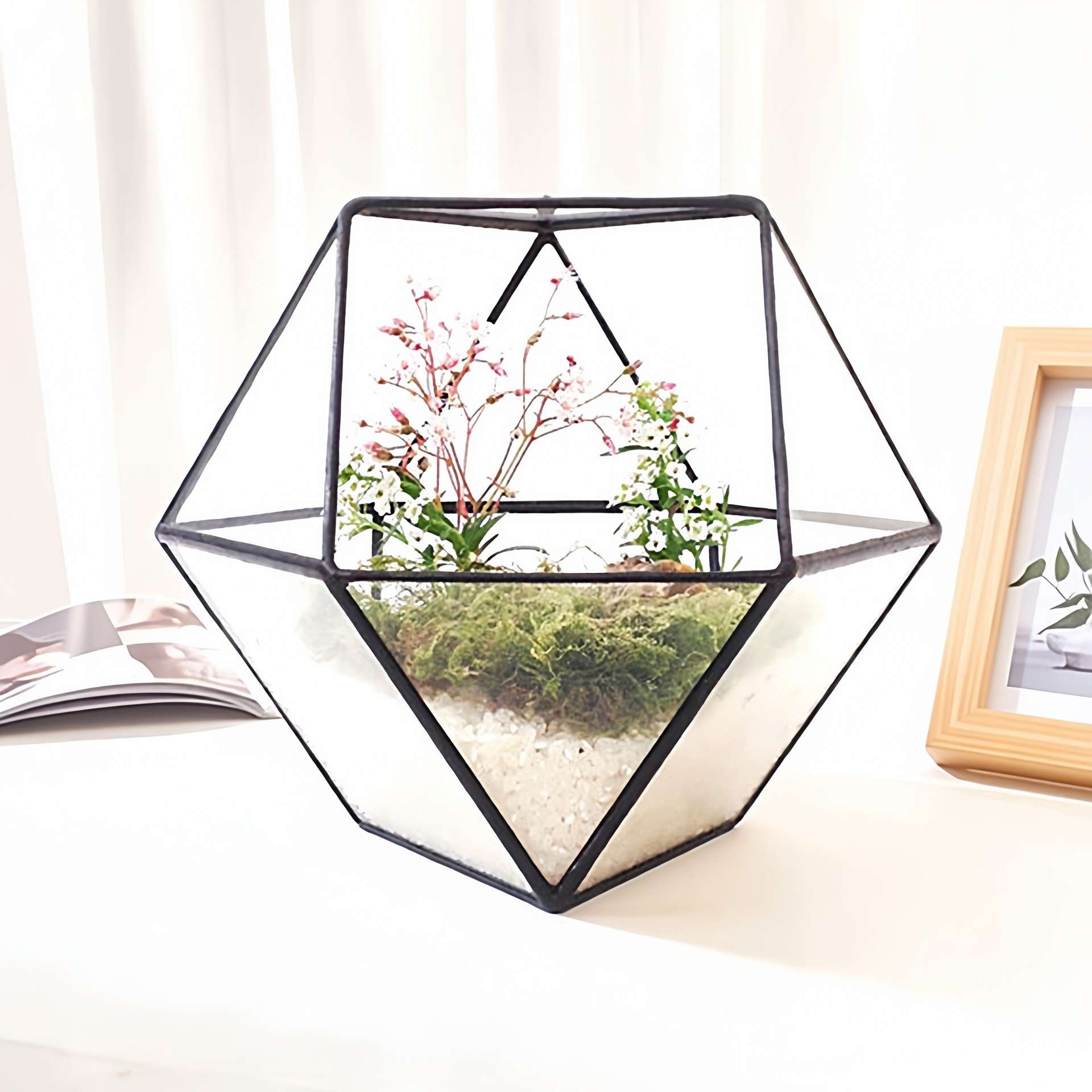 简约几何玻璃花房苔藓微景观植物花瓶家居园艺装饰展示道具摆件