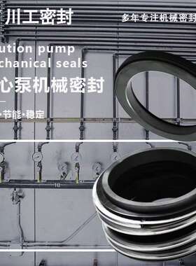 卧式泵前轴封 DFG200-500(I)B/4/110LDA\DFG150-315/2/90机械密封