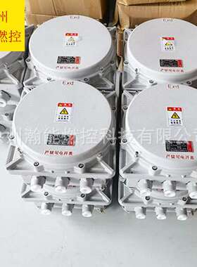 徐州瀚能燃控点火装置防爆点火装置XBD-20B