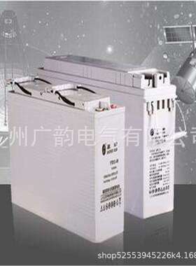 圣阳12V95AH 狭长型6FTJ-95蓄电池免维护胶体电池通信电源机柜
