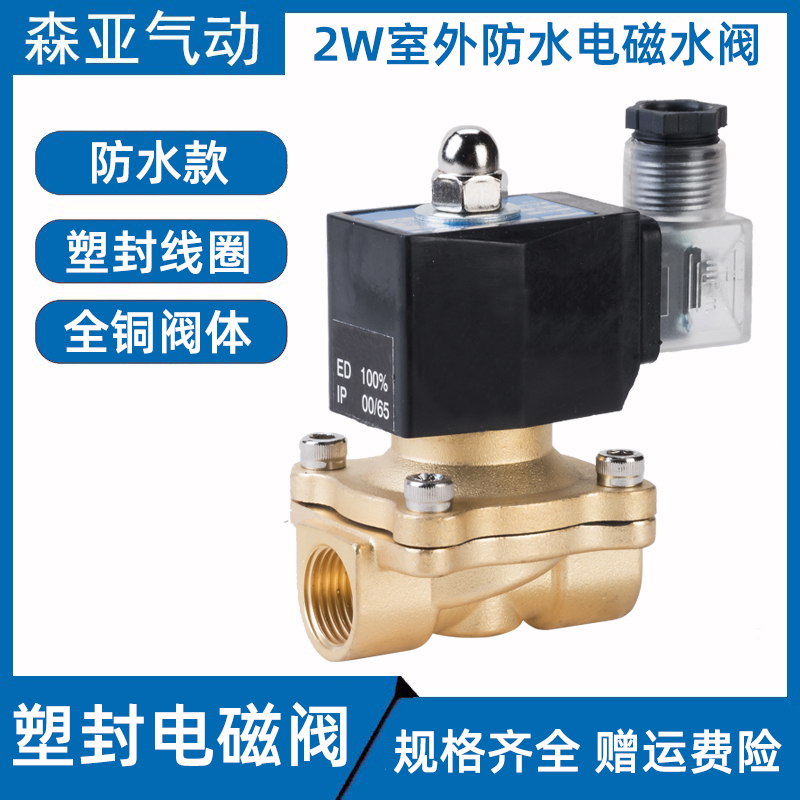 室外防水全铜电磁控制电阀开关水阀气阀220v24v1O2v4分6分1寸半2