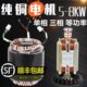 大全52200 38汽油发电机配件W子线柴油 8K圈 V转子三相等功率定