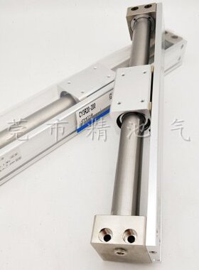 0C2030Y3偶磁63100 60Y3 R 40 式 SMC 507000-0C无杆气缸0 RG0型