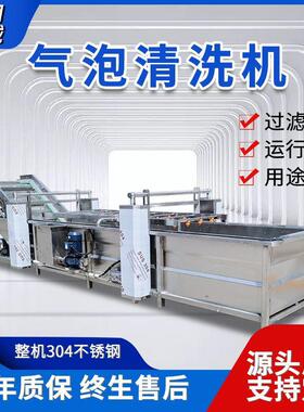 厂家气泡清洗机全自动气泡清洗机不锈钢水果蔬菜清洗机器设备