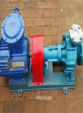 RY 化工热油泵纺织离心导热油泵高温油散热自吸循环热油泵