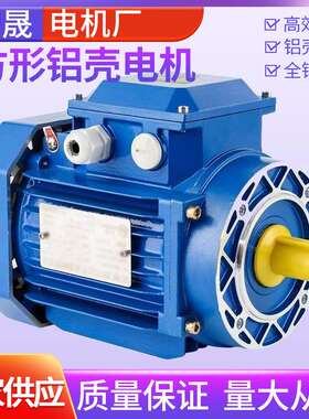厂家供应MSY100L1-4方形铝壳减速电机微型国标铜线电机三相纯铜芯