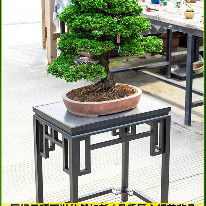 大几架组合定制超大o强花架多功能庭院盆景户外茶桌承重金架铝合