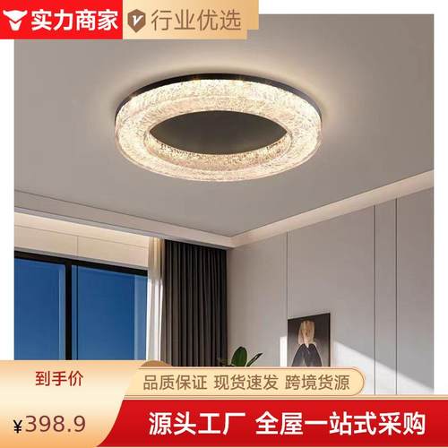 意式极简客厅吸顶灯现代简约高端设计师2024新款家用主卧室房间灯