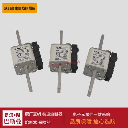 熔断器170M3765 170M3766 170M3767 170M3768 170M3769 170M3770
