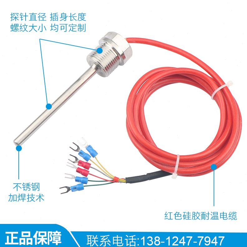 0传感器双线热电阻P铂制芯阻六线制0级/双6T双TA0支温度探头P1010