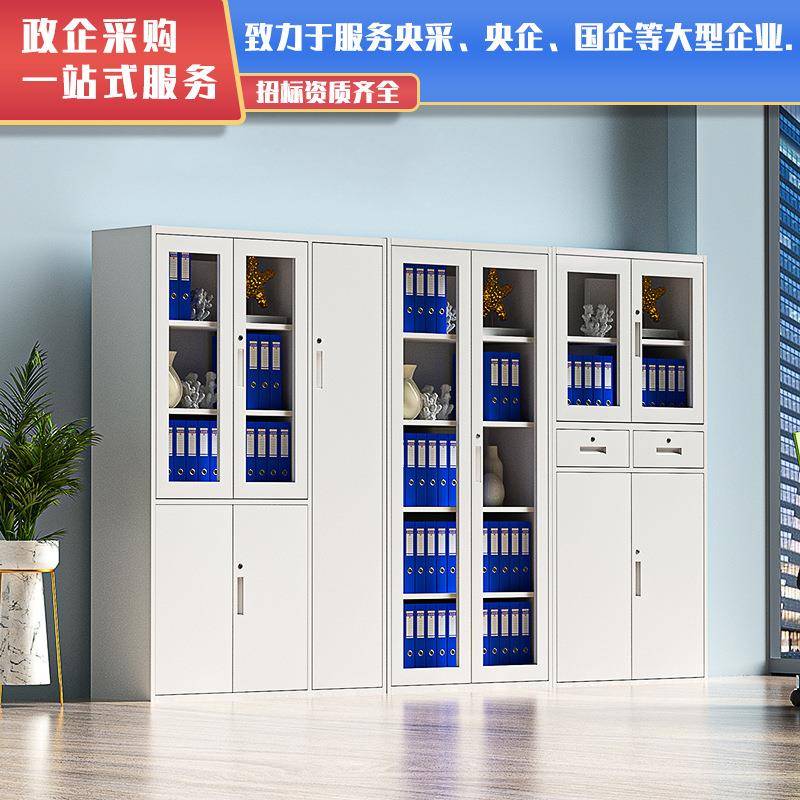 钢制文件柜铁皮柜办公柜柜子档案柜储物柜落地办公室矮柜厂家