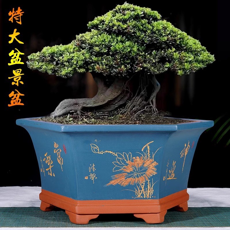 宜兴紫砂花盆六角花盆特大号盆景盆老F桩榕树盆阳台室内盆种植花
