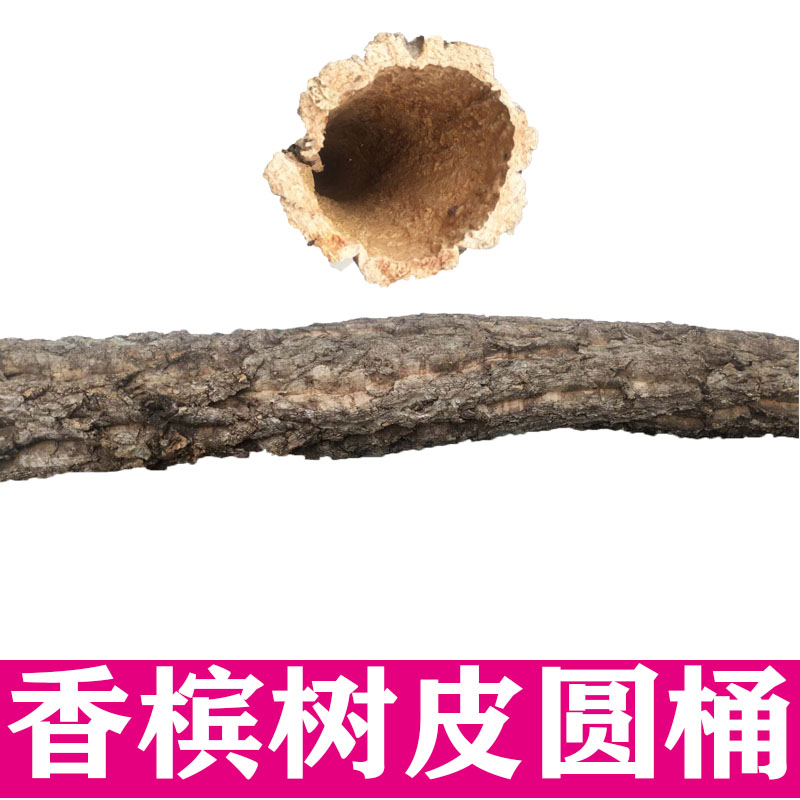 香槟树皮圆桶爬宠躲避树皮 雨林缸B造景 包柱子管道 空气凤梨定植
