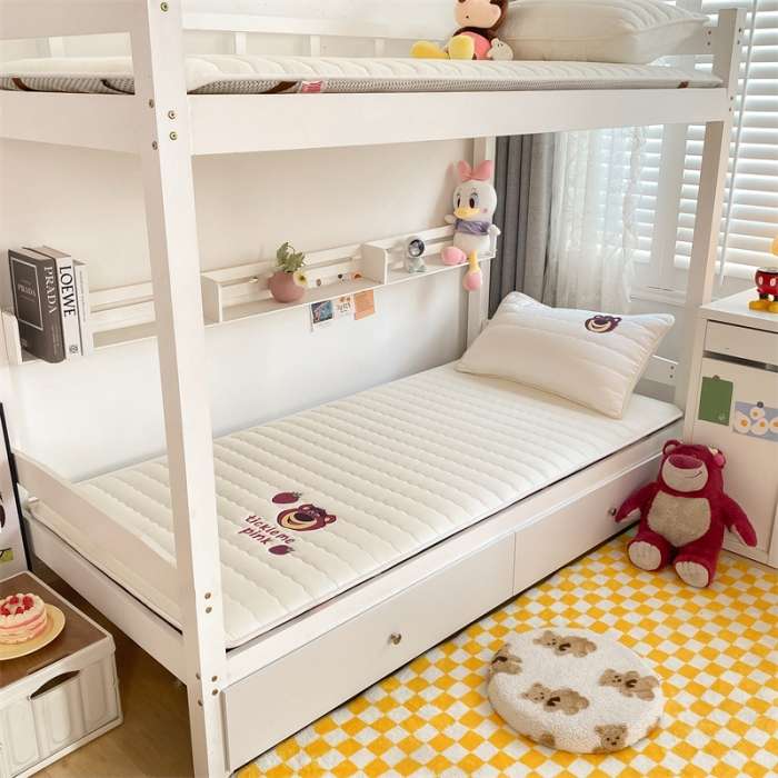 2024新款f烫画学生床垫褥子垫被床褥垫学生单人宿舍家用棉被铺床