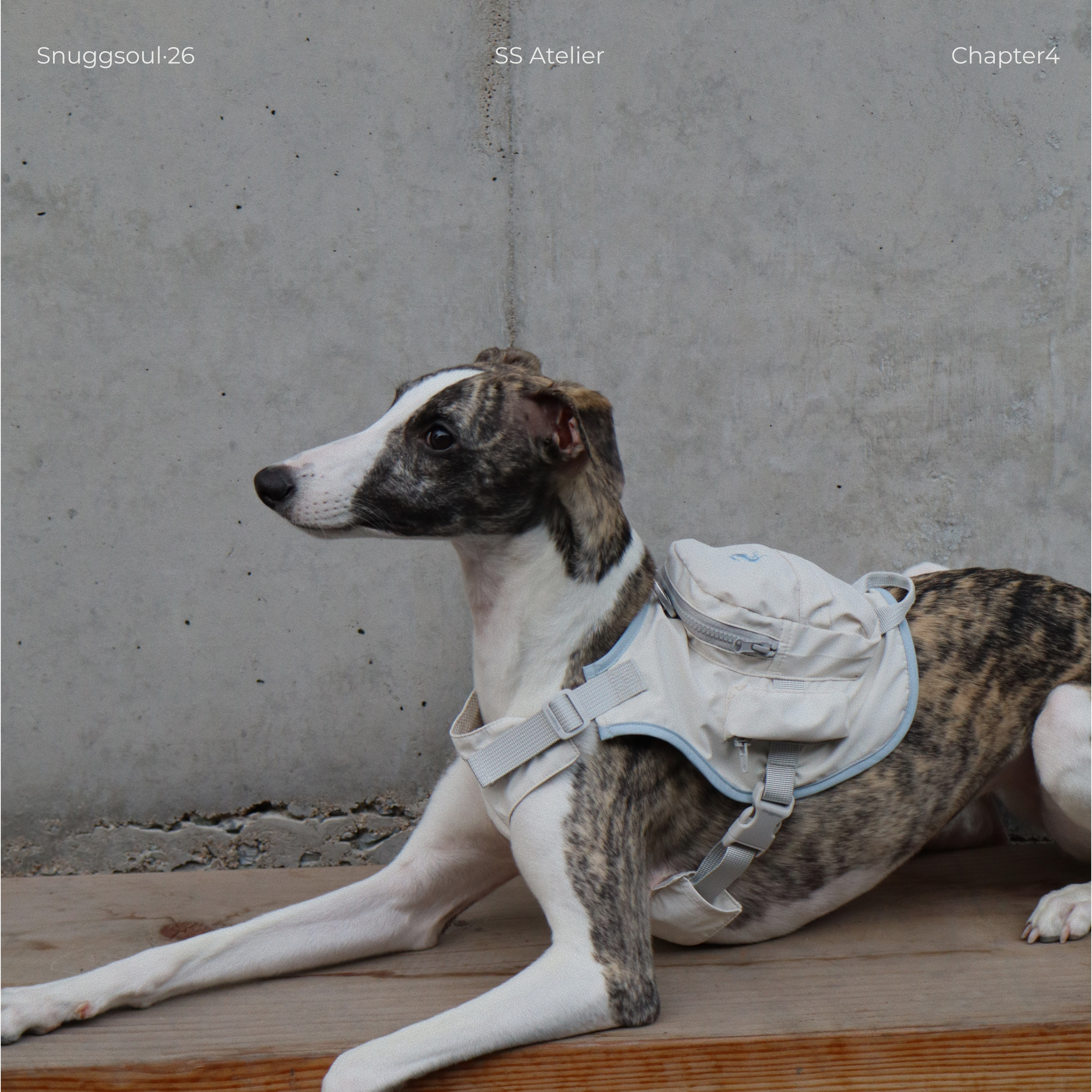 Snuggsoul中小型犬外出小书包