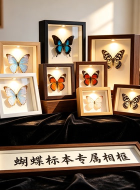 蝴蝶标本相框中空3cm摆台手工diy昆虫标本作品展示框旅游景点批发