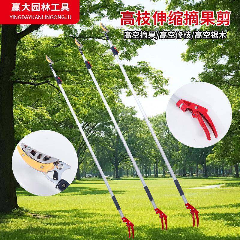 赢大伸缩高枝摘果剪高枝剪铝合金高空剪摘水果荔枝枇杷园林工具