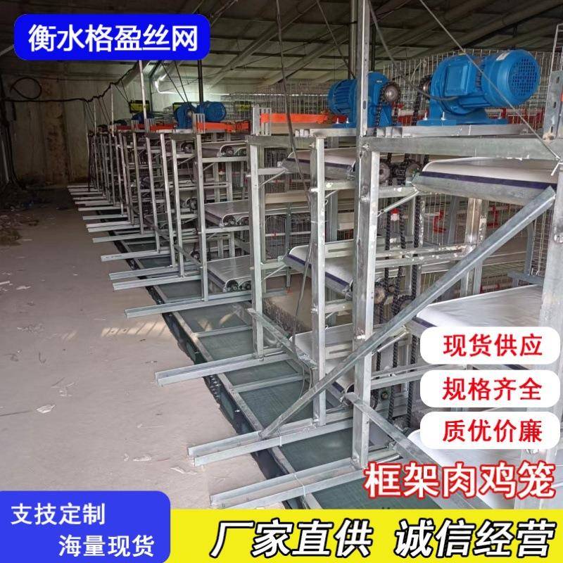 框架肉鸡笼养殖设备框架镀锌鸡笼带自动清粪喂料厂家供应