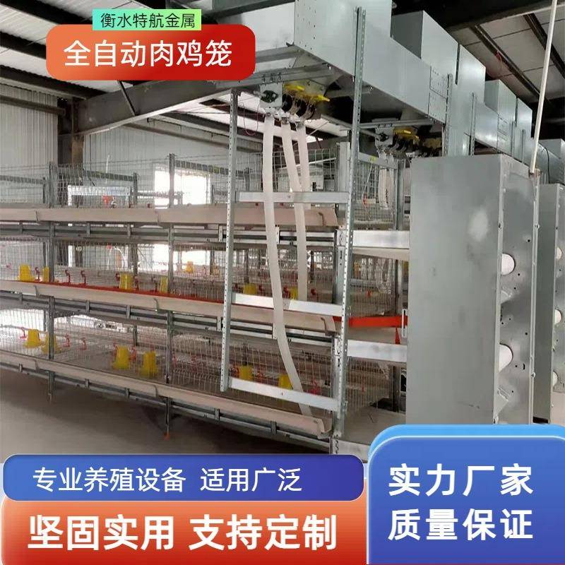 自动化元宝型肉鸡笼框架式养鸡设备肉鸡笼养殖场鸡舍养鸡笼