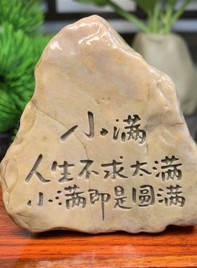 石来运转奇石头摆件工艺品摆件y原石盆景造景刻字景观哈密泥石鱼