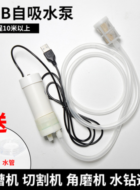 小型汽车油箱5v电动抽油泵sUSB抽油神器220V抽油泵汽油柴油自吸泵