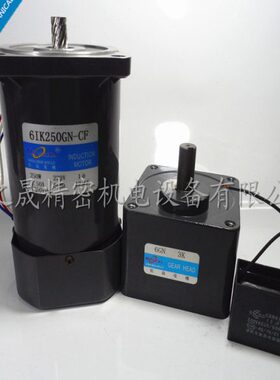 250W 交流220V 定速电机 6IK250GN-CF 齿轮单相减速微型/6GN3K