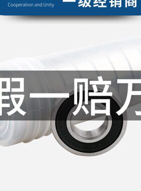 002060 4060 大全860 人本10只060桶装60Z5060 6006轴承1 3 R060