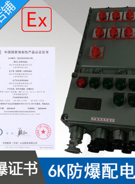 BXMD51BXMD58-6K防爆照明动力配电箱1进6出铝合金防爆电箱开关箱