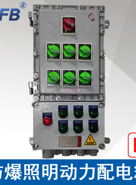 浙江中沈BXMD58-6K防爆照明配电箱1进6出防爆开关配电箱ExdeⅡBT4