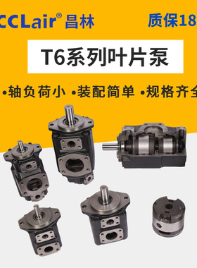 T6DC双联T6E液压T6CC叶片泵T6ED EC T6C-017 020 022 025 028 031