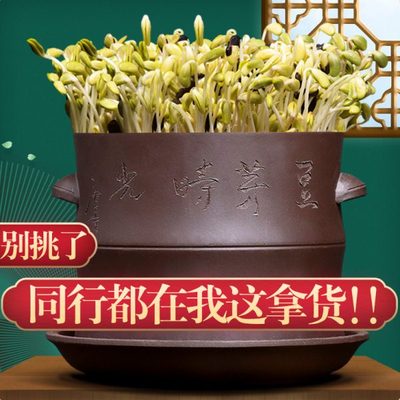 紫砂生豆芽机家用发豆芽神器豆芽罐桶器生绿黄豆芽菜花生芽发芽盆
