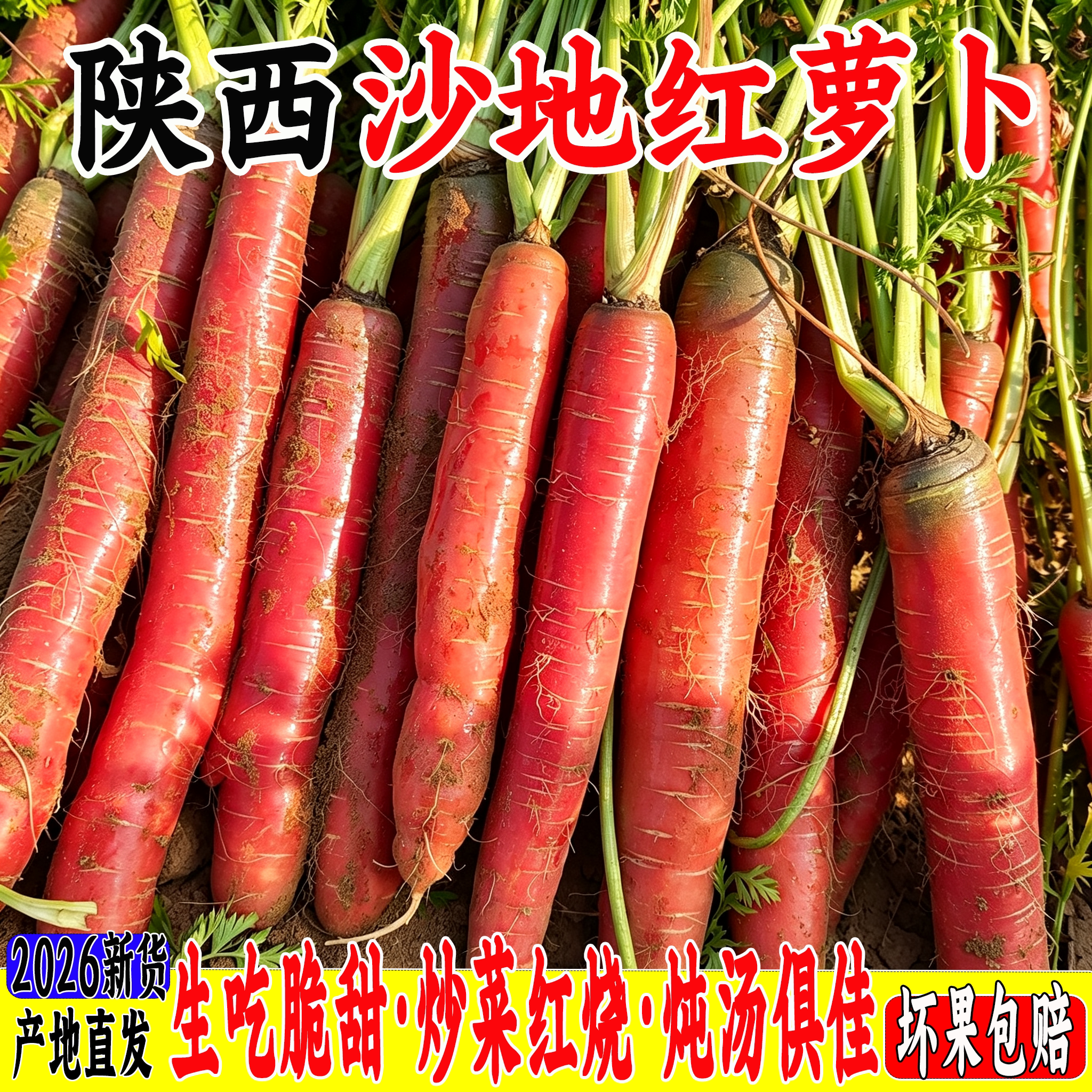 沙地红萝卜新鲜现挖带泥农家自种脆甜水果胡萝卜宝宝辅食榨汁蔬菜