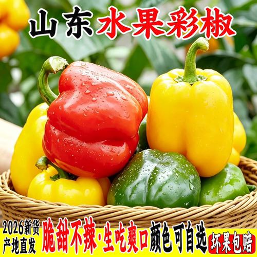五彩甜椒新鲜不辣清甜多汁