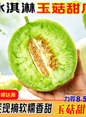 农家推荐玉菇甜瓜！新鲜多汁