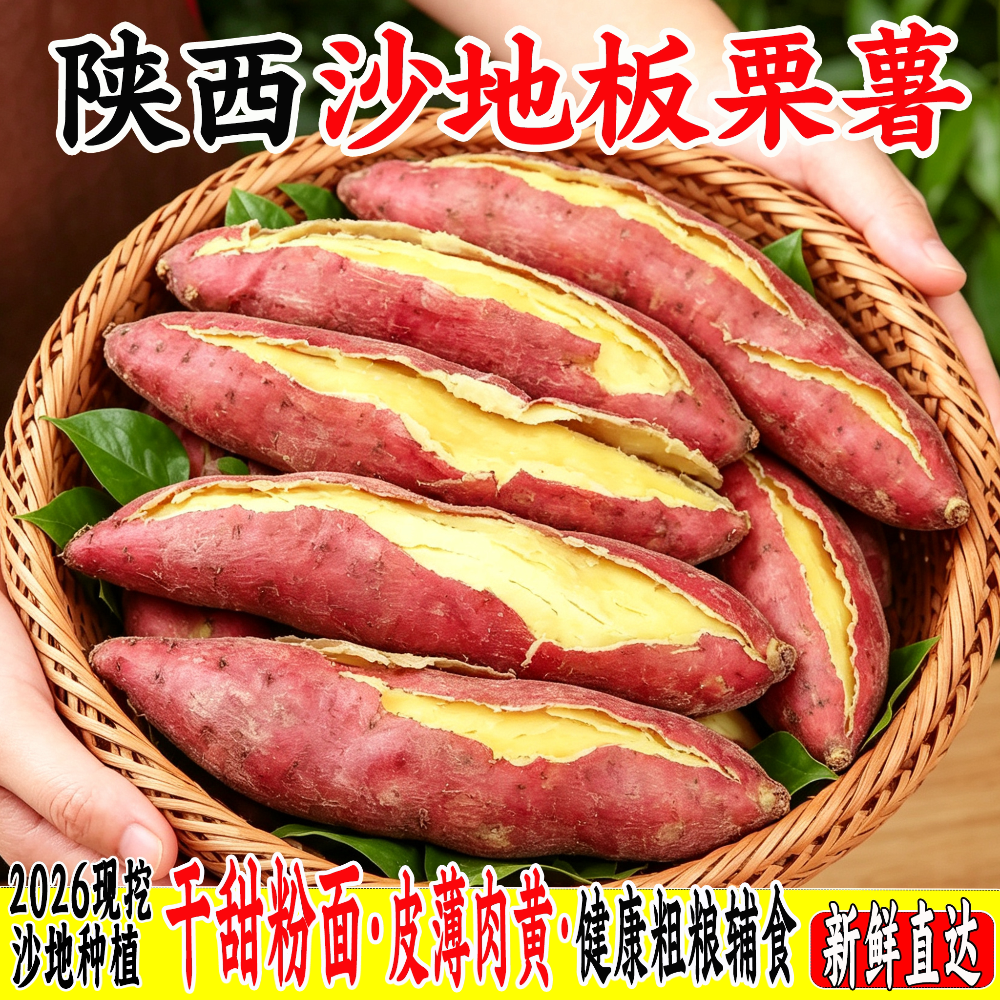 陕西渭南现挖板栗红薯蒸烤皆宜