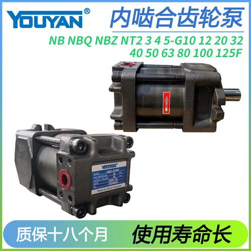NB5内啮合NT3齿轮泵NB2-G16F20G25F32G40F50G63F80G100F125C140F