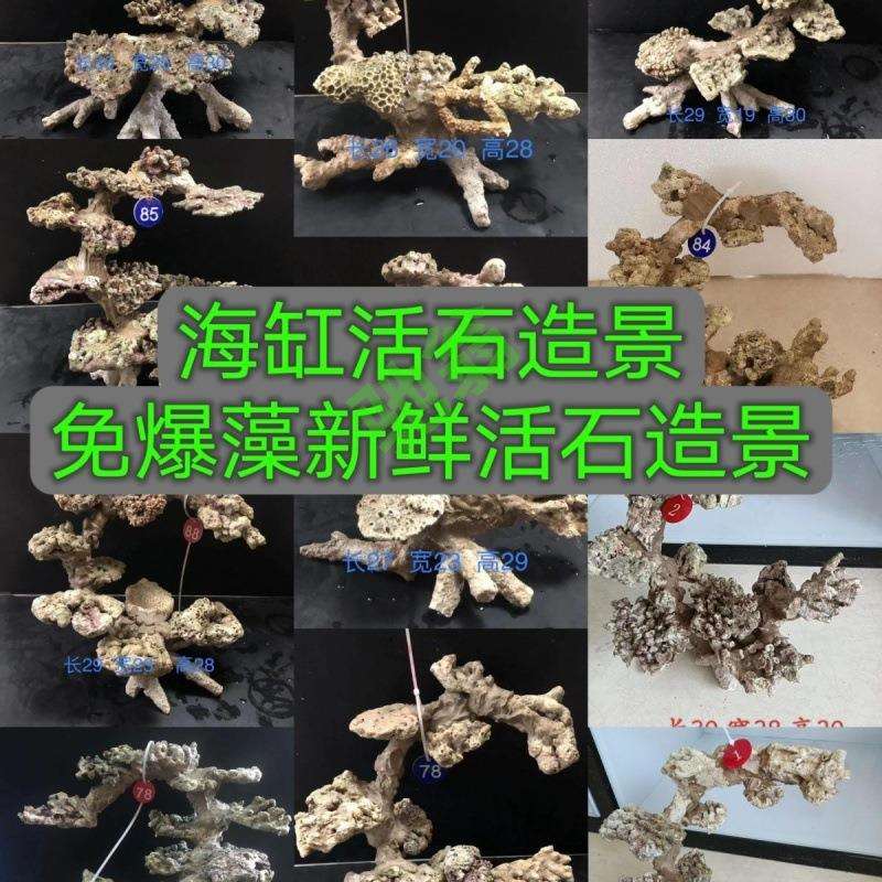 yut海缸造景高钙深海活石免爆藻活石造景小海缸造景悬浮造景石珊