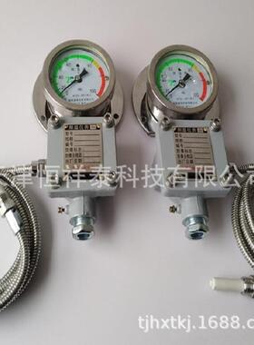 供应 WTZd-285z防震测温表 防爆表 WTZD-285d