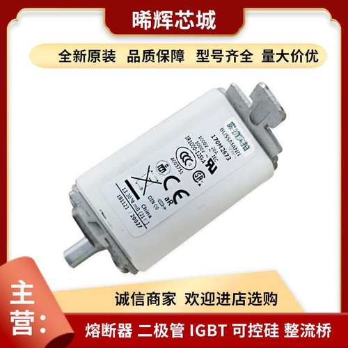 170M2609 170M2610型号齐全直流快速熔断器直供电子元器件价优