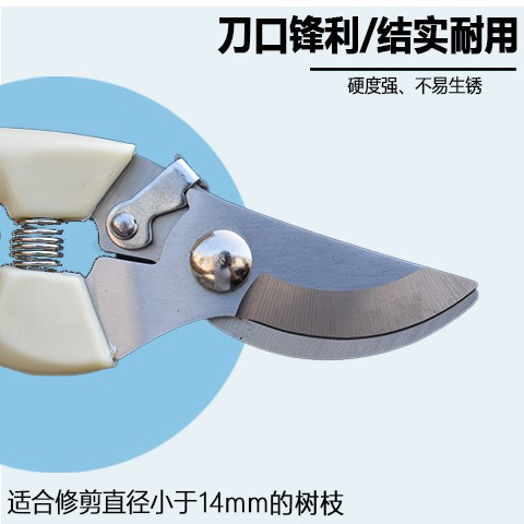 园艺剪刀工具绿化家用修枝剪树枝专业结实耐用钢材