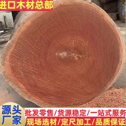大径红柳桉剥皮桉马油原木古建工程棺木寿材木棒安东金丝黄檀