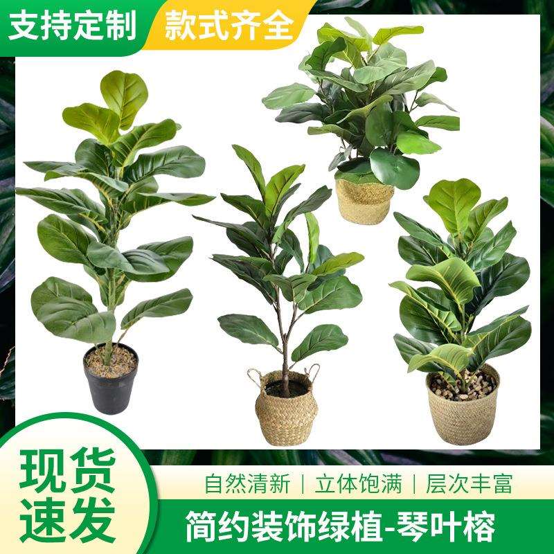 亚马逊仿生盆景仿真植物花卉琴叶榕客厅绿植盆栽带花盆摆件琴叶榕