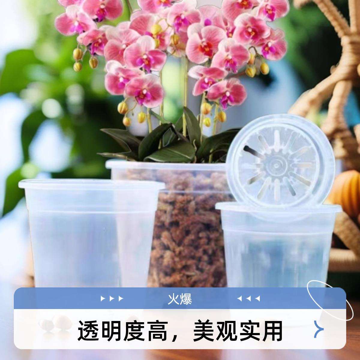 天津嘉利供应塑料高花盆多肉蝴蝶兰花盆工厂销售高透花盆容器