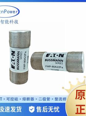 原装现货FR27GB80V80T FR27GB80V100T FR27GB80V250T快速熔断器